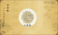 金灵散