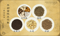柴胡茵陈五苓散
