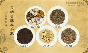 柴胡茵陈五苓散