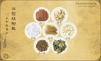淋熨桂附散