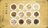 柴胡人参散