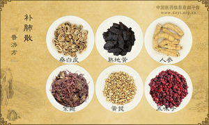 补肺散