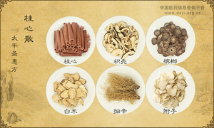 桂心散