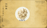 椒附散《普济本事方》