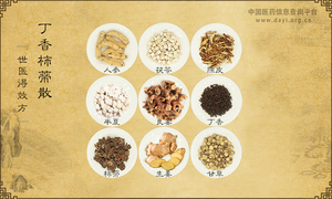 丁香柿蒂散