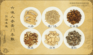 六味人参麦门冬散