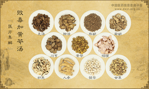 败毒加黄芩汤
