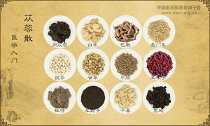 苁蓉散《医学入门》