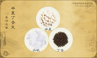 半夏丁香丸《圣济总录》