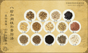 八珍加肉桂补骨脂汤