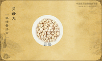 贝母丸