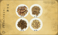 诃子散《素问病机气宜保命集》