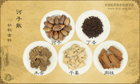诃子散《幼科金针》