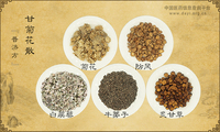 甘菊花散《普济方》