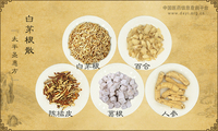 白茅根散