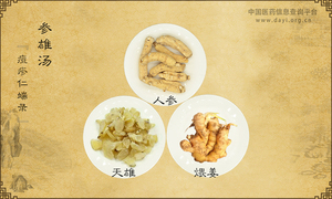 参雄汤