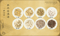 参术去湿汤