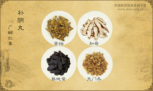 补阴丸