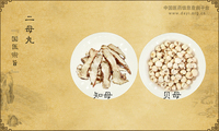二母丸《国医宗旨》