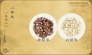 二苓丸《医学入门》