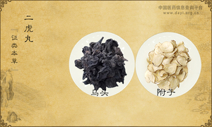 二虎丸《证类本草》