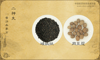 二神丸