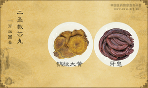二圣救苦丸