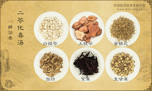 二苓化毒汤《辨证录》
