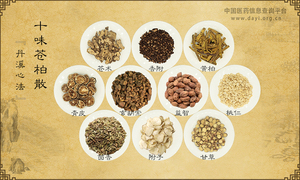 十味苍柏散