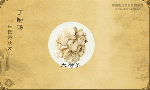 丁附汤