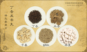 丁香五辛丸