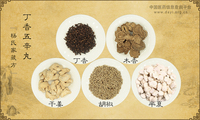 丁香五辛丸