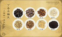 丁香乌梅丸