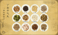 丁香平气丸