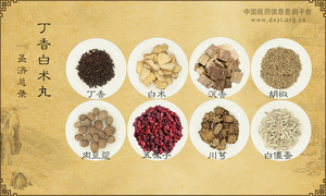 丁香白术丸
