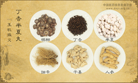 丁香半夏丸《玉机微义》
