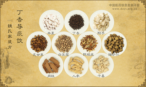 丁香导痰饮
