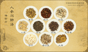 人参泻肺汤《袖珍方》