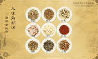 九味前胡汤《治瘄金镜录》