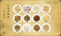 九味养脾汤《保婴撮要》