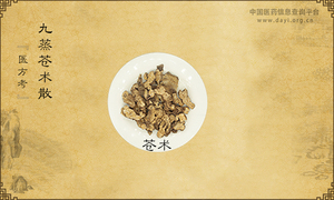 九蒸苍术散