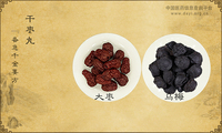 干枣丸《备急千金要方》