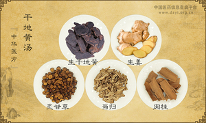 干地黄汤《中华医方》