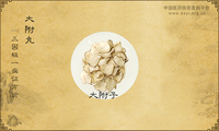大附丸《三因极一病证方论》
