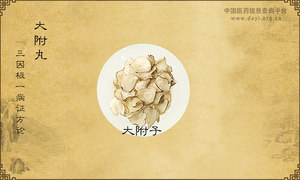 大附丸《三因极一病证方论》