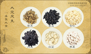 大定风丸《疡医大全》