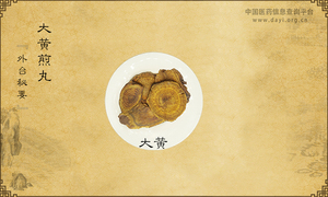 大黄煎丸