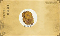 大黄膏丸