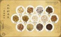 大补枳术丸