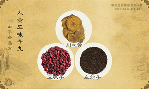 大黄五味子丸《太平圣惠方》